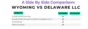 Read more about the article 7 Crucial Comparisons of Wyoming vs Delaware LLC for Startups